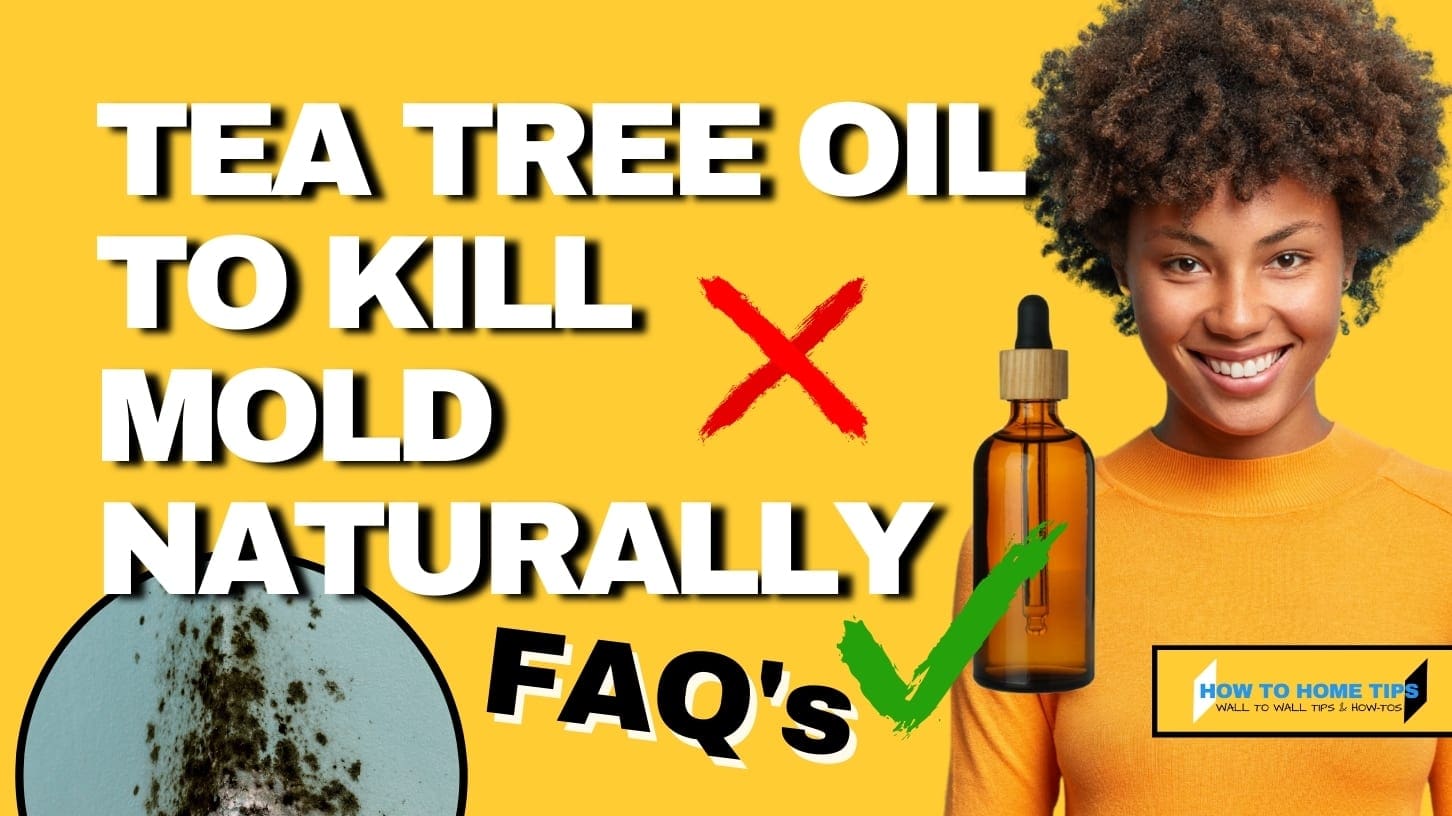How To Use Tea Tree Oil to Kill Mold Naturally